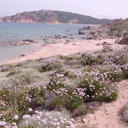 Tipico Stazzo Splendida Vista Mare Aglientu